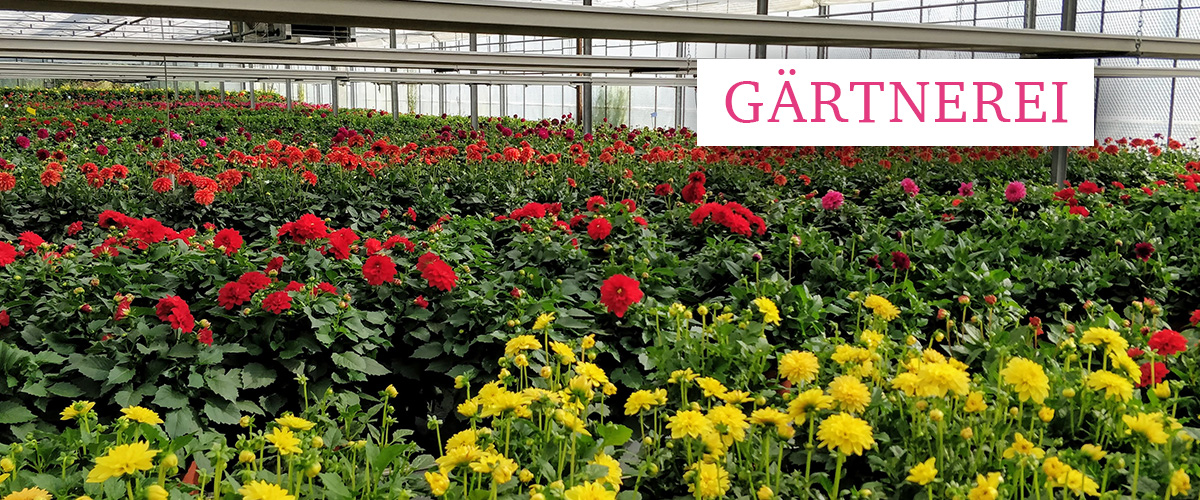 Banner Gärtnerei